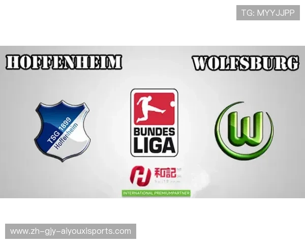 德甲球队能买吗?德国俱乐部股权结构与投资规则说明 德甲球队能买吗?德国俱乐部股权结构与投资规则说明